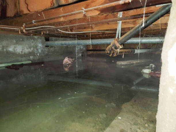 Water damage restoration experts in NC