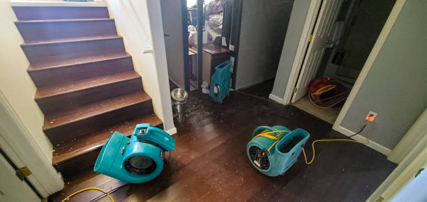 Best Commercial water damage restoration  in Mount Olive, NC