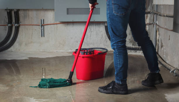 Best Emergency water damage restoration  in Mount Olive, NC