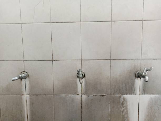 Best Water damage cleanup near me  in Mount Olive, NC