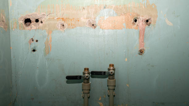 Best Fire Damage Restoration  in Mount Olive, NC