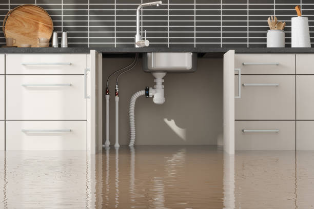 Best Flood damage cleanup  in Mount Olive, NC