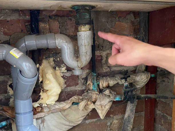 Best Ceiling water damage repair  in Mount Olive, NC