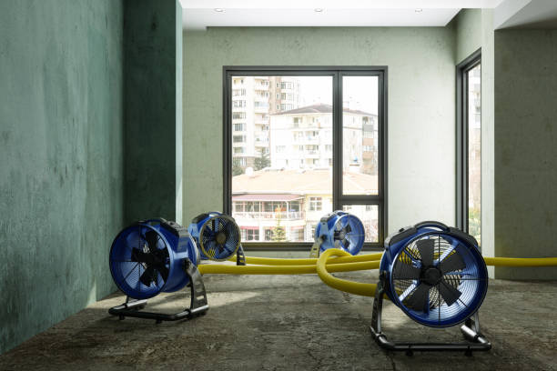 Best Water damage mitigation services  in Mount Olive, NC